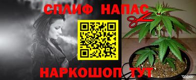 шишки Апшеронск