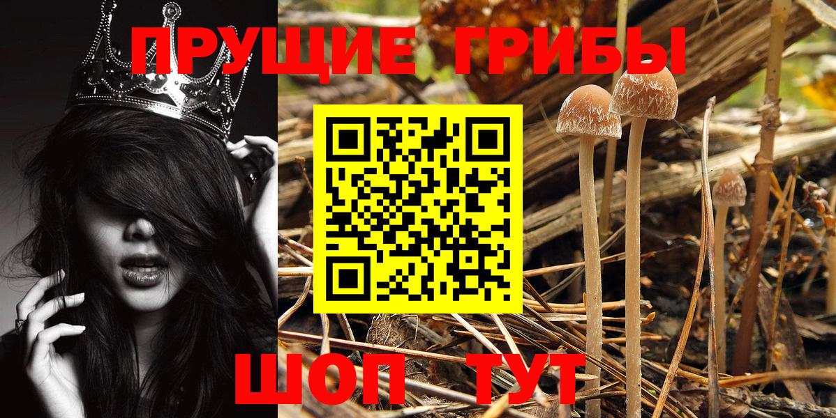 Галлюциногенные грибы GOLDEN TEACHER Артём