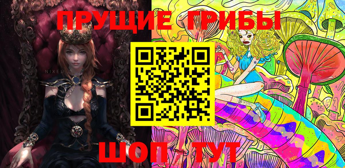 Псилоцибиновые грибы прущие грибы  Артём  Галлюциногенные грибы мицелий 