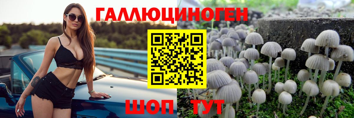 Галлюциногенные грибы Cubensis Артём